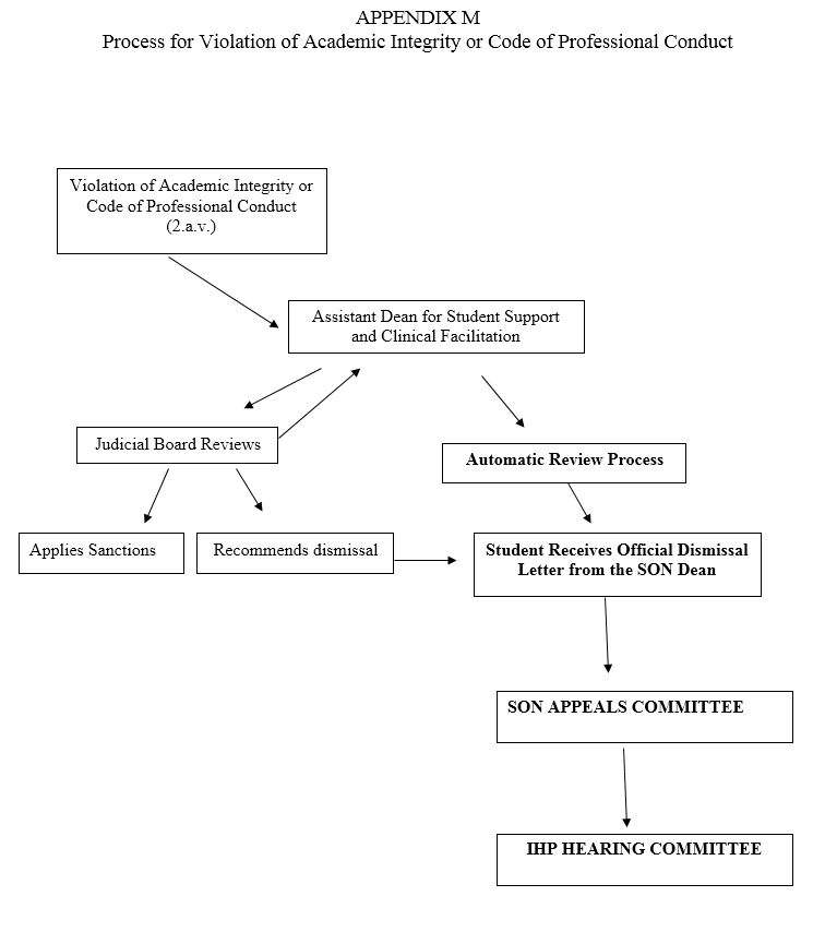 SON Process for Violation of Academic Integrity of Code of Professional Conduct