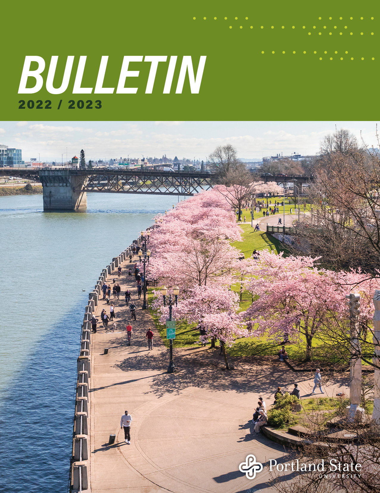 Cherry trees in bloom along the Willamette River